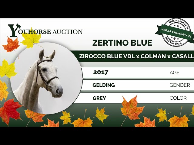 Zertino Blue