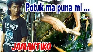 Download lagu Potuk Ma Puna mi... mp3