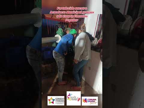 MUNICIPIO PADRE NOGUERA, ESTADO MERIDA