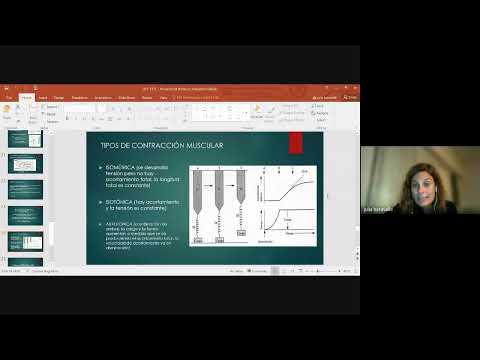 TyTL - Integrador UP2 - Julia Baravalle