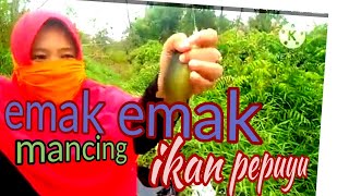 Download lagu #emakemakmancing #ikanpepuyu.  emak emak mancing ikan pepuyu mp3