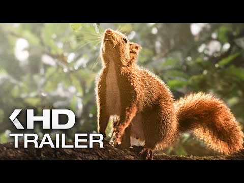 DIE EICHE: Mein Zuhause Trailer German Deutsch (2023)