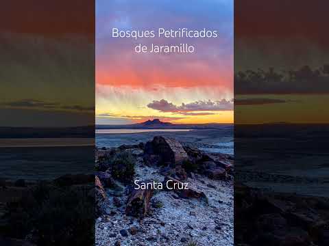 Bosques petrificados de Jaramillo. SantaCruz. #parquesnacionales #santacruz #argentina
