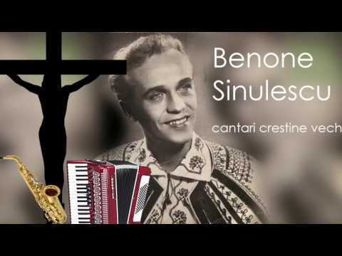 Benone Sinulescu - O copilasii mei din lume