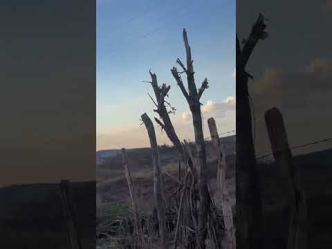 Nordeste Pedra Branca Ceará