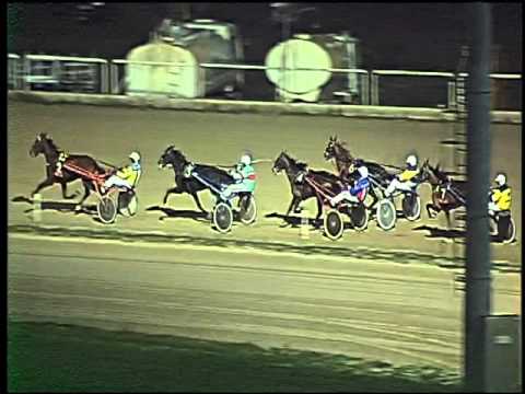 Trotto 01/12/2015 - 2° prova di qualifica