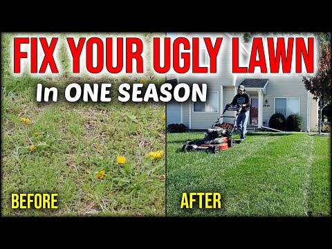 Fix An Ugly Lawn In ONE SEASON Without Seeding Or Overseeding