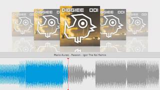 Mario Aureo - Passion - Igor The Koi Remix