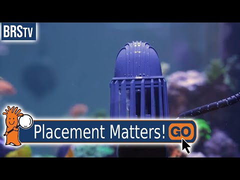 Where Should a Powerhead Be Placed in an Aquarium?