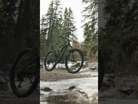 Amflow Amflow PL Carbon Pro (800 Wh)