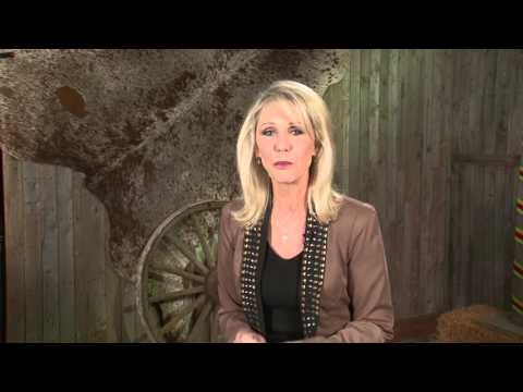 download lagu mp3 mp4 American Ranch Designs, download lagu American Ranch Designs gratis, unduh video klip American Ranch Designs