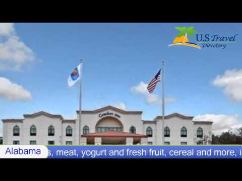 Comfort Inn Greenville - Greenville, AL