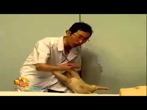 Cách Sơ Cứu Khi Trẻ Bị Hóc Dị Vật, Ngạt Đường Thở