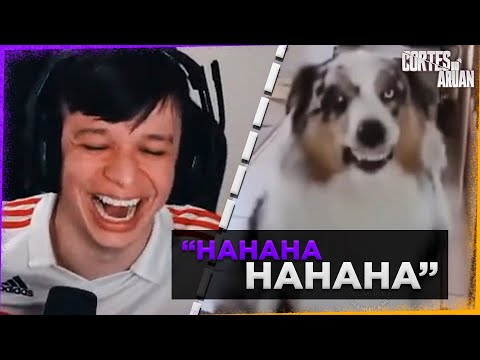 ARUAN REAGE A SOUTH AMERICA MEMES (TENTE NÃO RIR) PARTE 29 - Cortes do Aruan