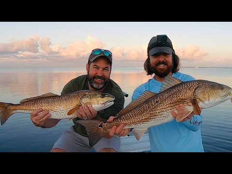 How To Find And Catch Schooling Redfish (Tactics & More)