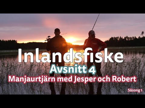 Inlandsfiske | Manjaurtjärn med Jesper och Robert | Avsnitt 4