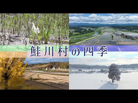 鮭川村の四季
