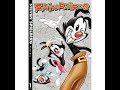 Opening To Steven Spielberg Presents Animaniacs Volume 1 2006 DVD Disc 1