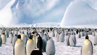 Kaiser Chiefs - Good days bad days