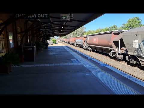 Empty SSR Grain Train through Gunnedah stabled at Emerald Hill 18/04/25