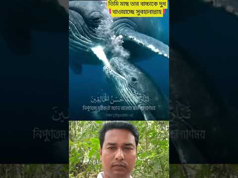 তিমি মাছের দুধ #viralvideo #funny #shorts