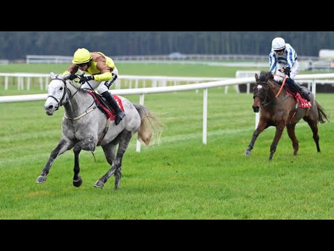 Plenty of drama in this beginners' chase at Punchestown! | Racing TV