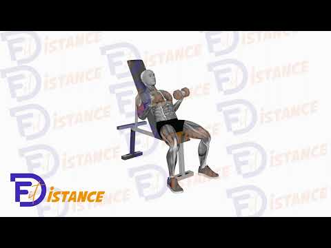 Curls haltères assis - Exercice Curls haltères assis en vidéo
