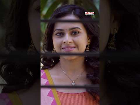 JagadekaVeera Song (Song)