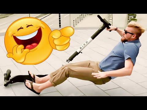 😄 Comical phases 😄 Funny cats 😄 Dorel 😄 Try not to laugh 😄 Ridiculous 😄 Read the description