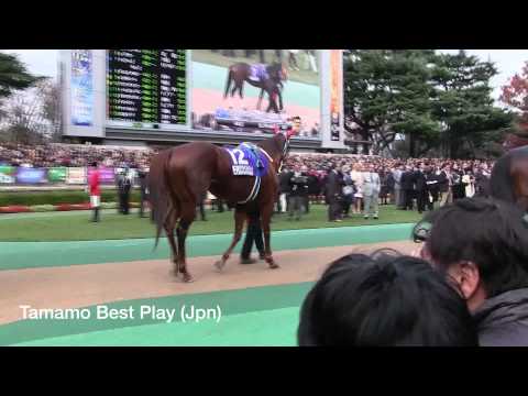 2014 Japan Cup Scenics