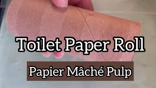 Papier Mâché Pulp Process from Toilet Paper Roll