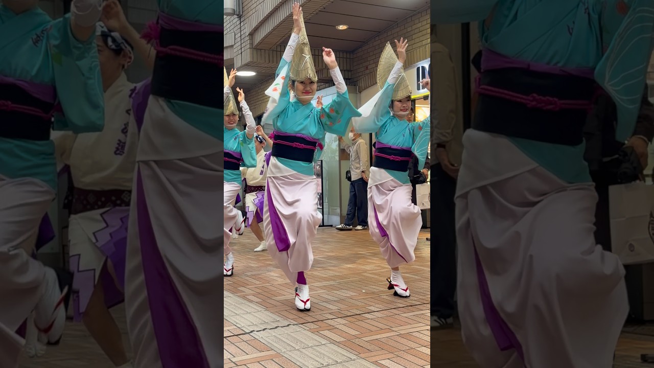 飯田橋 #阿波踊り #阿波おどり かぐら連 #beautifulmusic #awaodori