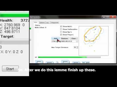 Roibot Aion Bot Waypoint System Tut