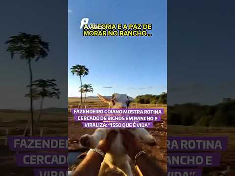 Fazendeiro goiano mostra rotina cercado de bichos em rancho e viraliza: “Isso que é vida”