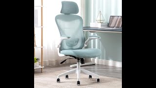 Best Ergonomic Office Chair with Adjustable Headrest! | GRFIT High Back Mesh Chair Review