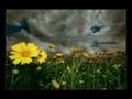Dark Sanctuary-The Garden Of Jane Delawney ...