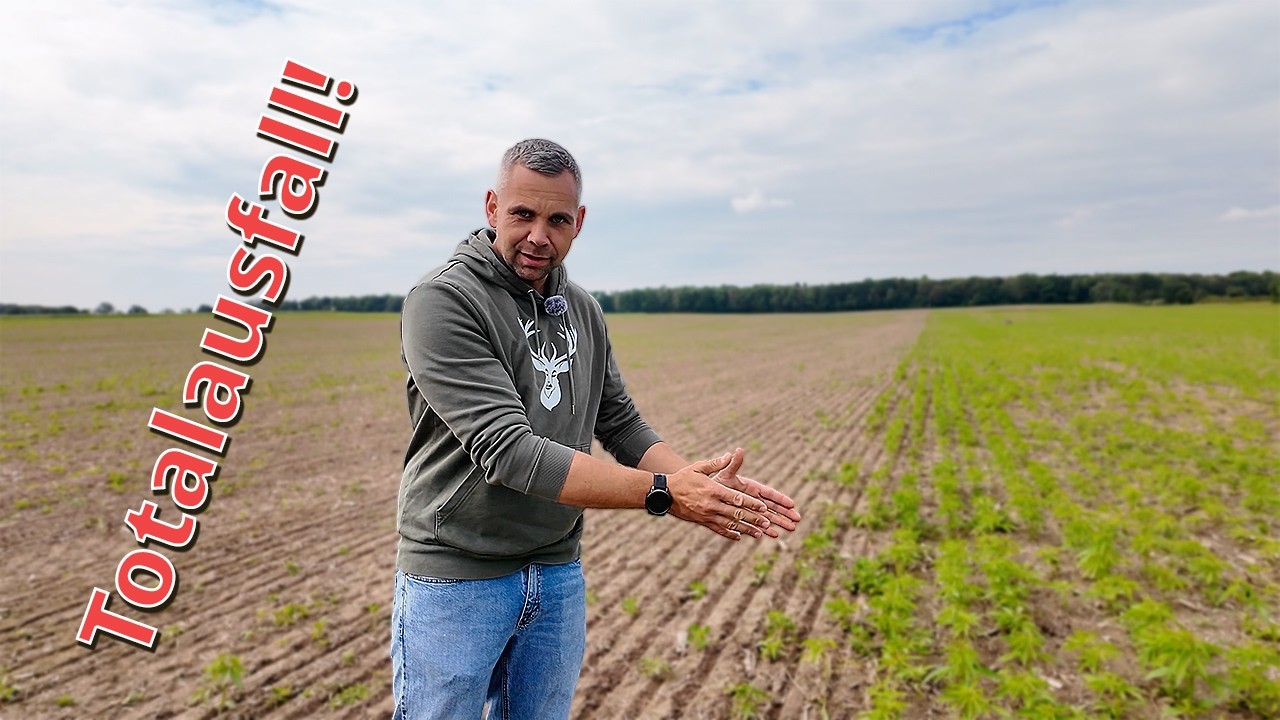 AKF: Totalsausfall Hanf!!! Letztes Jahr Raps?