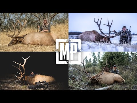 The Elk Rifle Slam | Mark V. Peterson Hunting