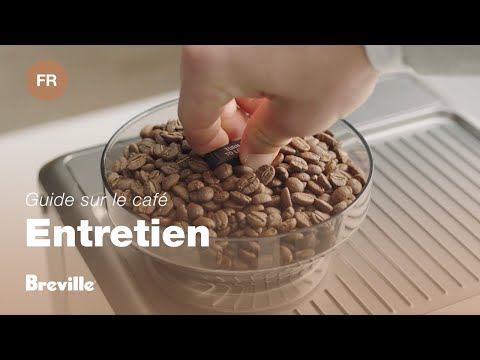 miniature vidéo