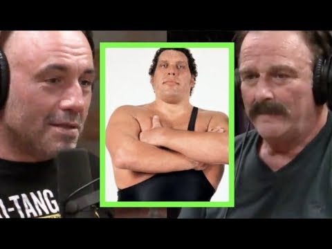 Joe Rogan - Jake The Snake on Andre the Giant