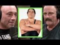 Joe Rogan - Jake The Snake on Andre the Giant DEFAULT Thumbnail