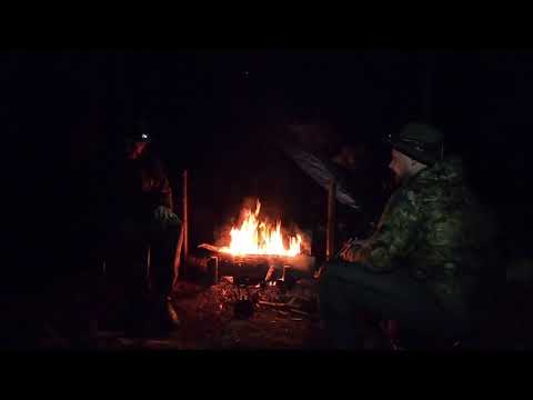 Grouse Hunting in Posio, Lapland