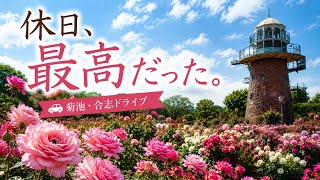 【熊本ドライブ】教えたくない秘密の畳温泉…！菊池・合志の癒やしスポット1日巡り