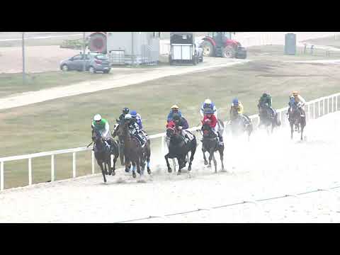 2021.11.14. 06. futam - CHANTILLY HENDIKEP (V/b.) (szintetikus pálya)