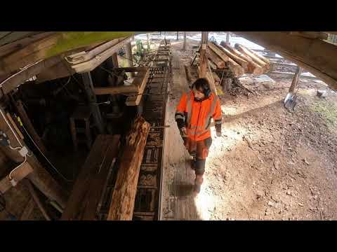 Första sågningen med sågverket