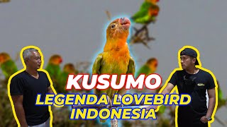 Download lagu AKHIRNYA KETEMU LANGSUNG DEPAN MATA!!! KUSUMO nya H.Sigit di Klaten mp3 Download lagu AKHIRNYA KETEMU LANGSUNG DEPAN MATA!!! KUSUMO nya H.Sigit di Klaten mp3