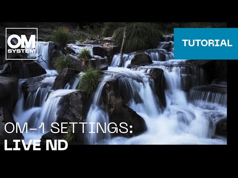OM-1 & OM-1 Mark II Settings: Live ND