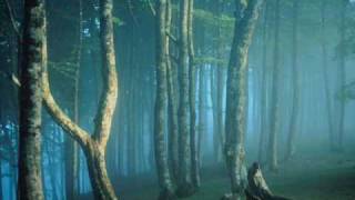 Hedningarna - Skamgreppet