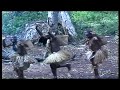Orchestre Patengué Djo Oko Clip Video Musique Pygmées