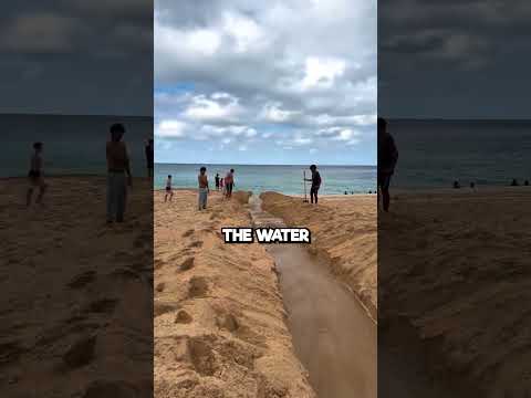 Digging a Pathway from River to Ocean 🌊